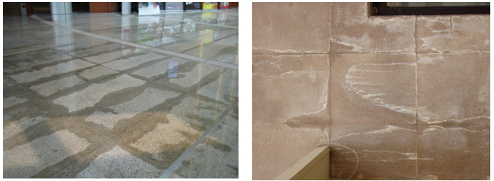 鄭州華巖清洗養(yǎng)護技術有限公司 鄭州華巖清洗養(yǎng)護技術有限公司